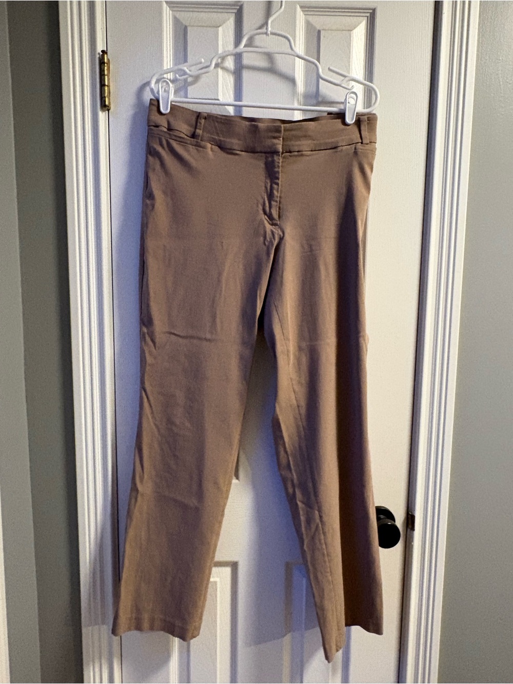 Lane Bryant “The Allie” dress pants